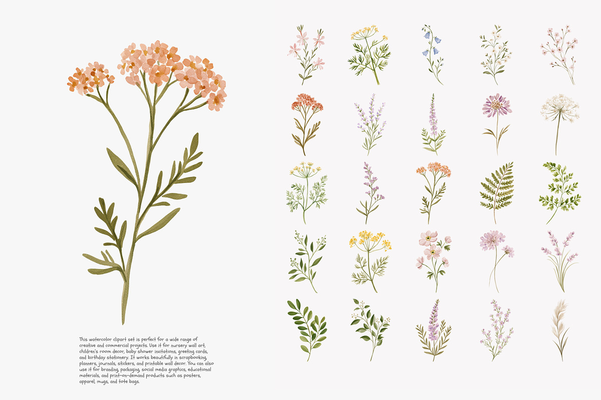 a wildflower meadow clipart set, a Decorative Illustration by Patishop Art (Photo 10 of 12)