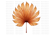 Dried Palm Leaves, a Decorative Illustration by Bloom Craft Creations (Thumbnail 2 of 10)