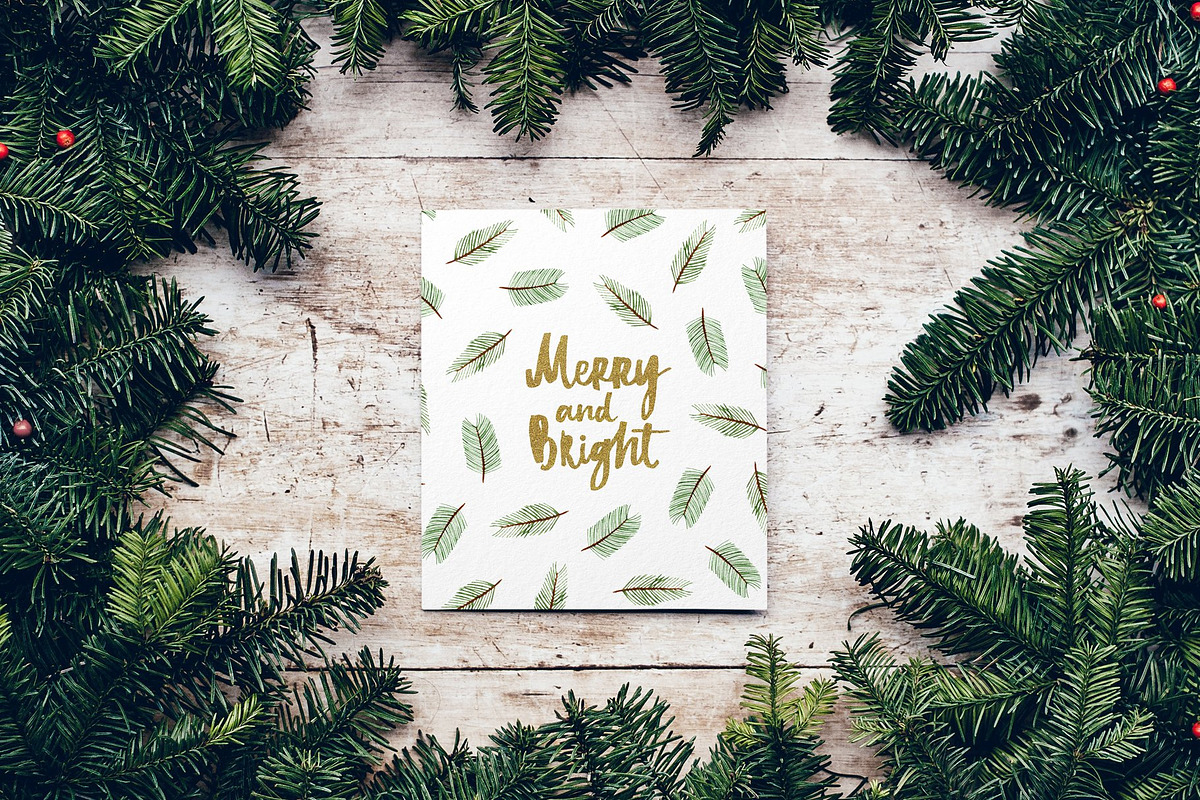 Xmas winter plants. Watercolor set, a Seasonal Illustration by alenaganzhela (Photo 8 of 9)