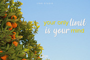 Yuzu The Yellowish Font Duo, a Script Font by LTNG STUDIO (Thumbnail 8 of 13)