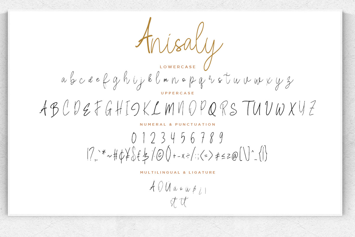 Anisaly Business Font preview 7