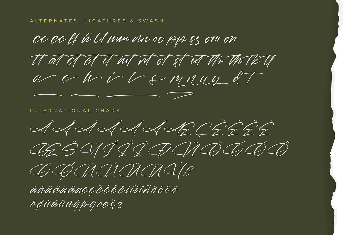 Marie Glachith Beautiful Script Font, a Script Font by Letterena Studios Script (Photo 14 of 15)