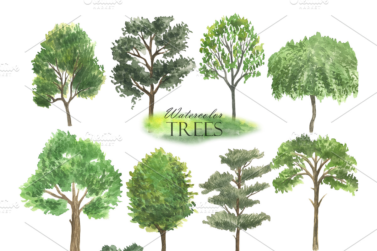 Watercolor Green Trees Clipart, an Illustration by OlDm_Shop (Photo 2 of 8)