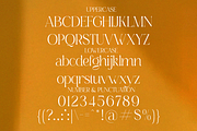 Renea - Modern Minimal Elegant Serif, a Serif Font by Qweera Studio (Thumbnail 9 of 12)