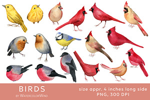 Birds Watercolor Clipart