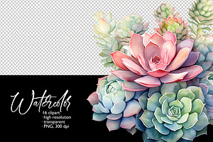 15 Succulents Watercolor Clipart