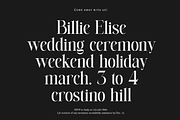 Lovine, a Serif Font by zeenesia (Thumbnail 12 of 17)