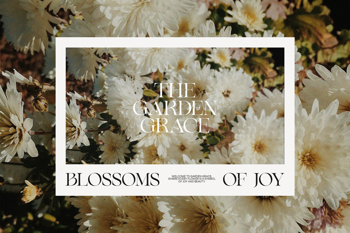 Gilkys Elegant Serif Font, a Serif Font by Perfectype (Photo 4 of 8)