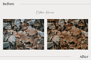15 Autumn Inspired Lightroom Presets, a Preset Add-On by HipFonts (Thumbnail 9 of 10)