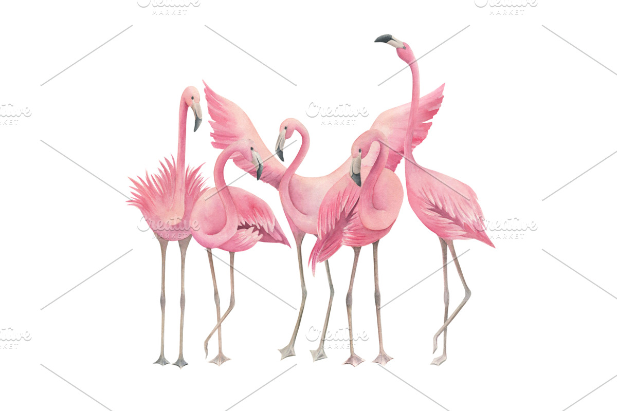Tropical Collection With Flamingos, a Seasonal Illustration by Natikka Art (Photo 3 of 6)