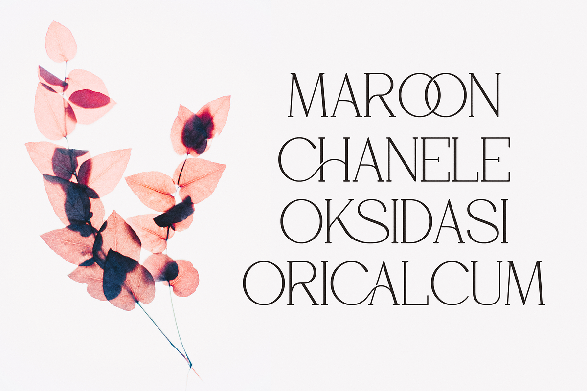 Glica Qidvers | Modern Elegant Serif, a Serif Font by Denustudios (Photo 4 of 14)