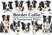 Border Collie Watercolor Clipart, an Animal Illustration by milkghost (Thumbnail 1 of 2)