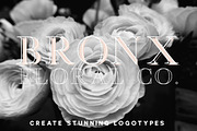 Bronx | An Extension for Manhattan, a Serif Font by Jen Wagner Co (Thumbnail 4 of 5)