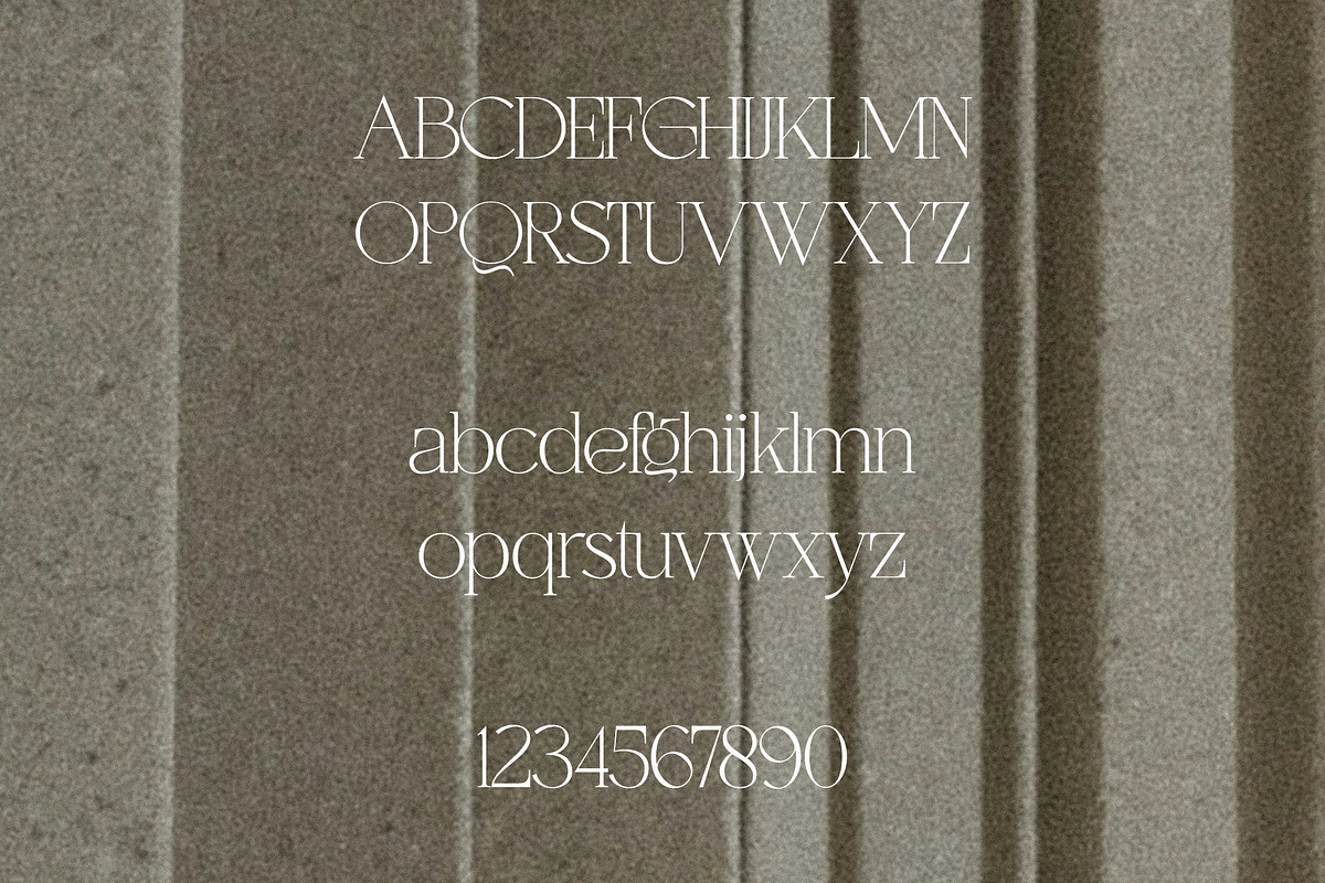 Gladiator - Chic Serif, a Serif Font by Mikhail Fukurou (Photo 10 of 11)