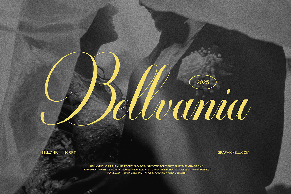 Bellvania Calligraphy Script Font, a Script Font by Graphicxell (Photo 1 of 8)