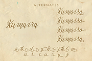Candinara - Elegant Calligraphy, a Script Font by Ginart (Thumbnail 10 of 11)