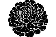 Peony Flower Silhouette, an Object Graphic by Designer_Momina (Thumbnail 7 of 18)