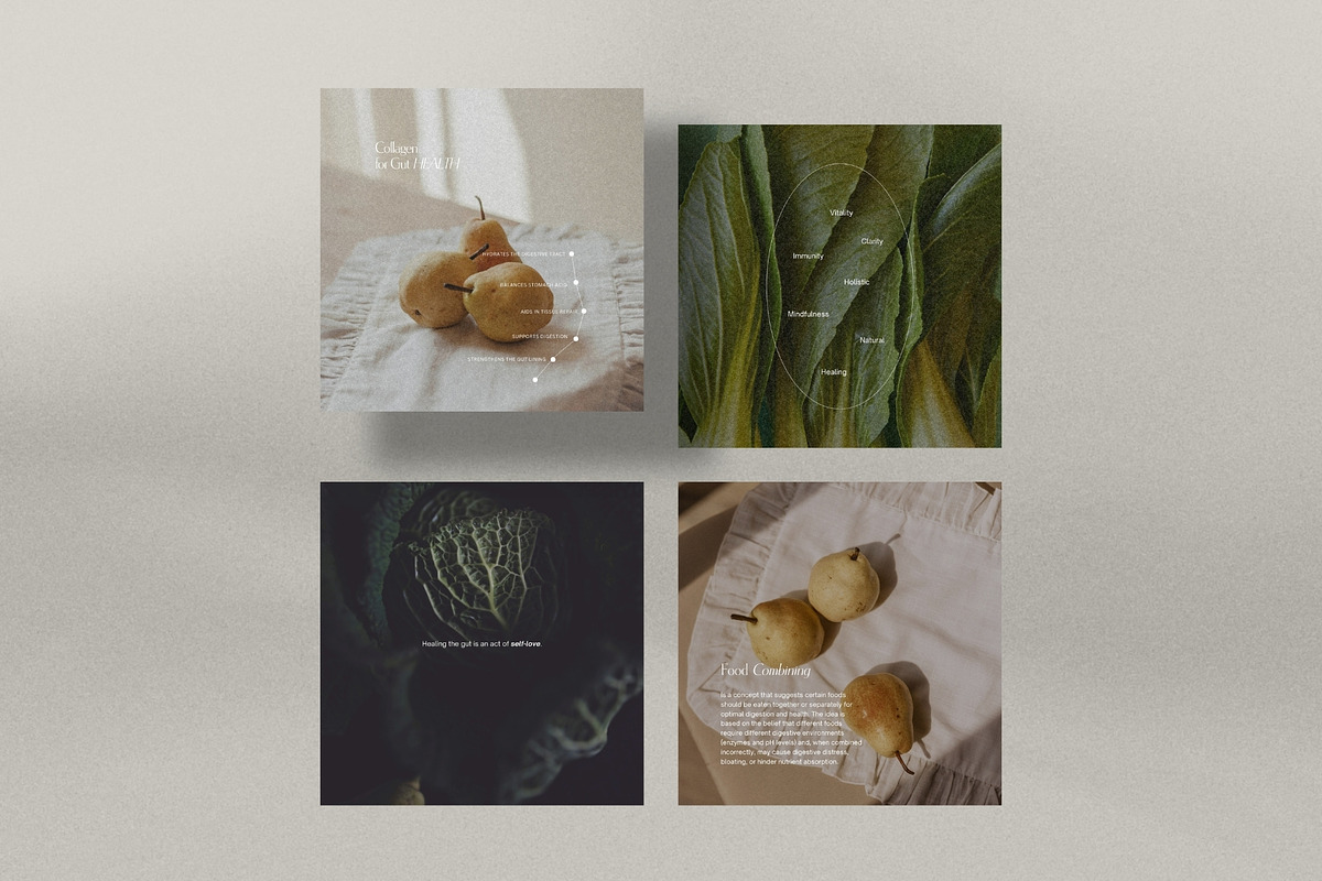 Gut Health Instagram Template, a Social Media Template by Terraa Studio Design (Photo 8 of 10)