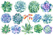 Succulents Botanical Watercolor, a Background Graphic by Hanna Hryharenka (Thumbnail 11 of 15)