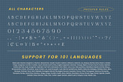Prosper Rules, a Serif Font by Nathatype (Thumbnail 8 of 11)