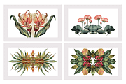 Muji Co · Symmetrical Botanics, a Decorative Illustration by milatovar (Thumbnail 4 of 16)