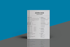 Sleek & Stylish Resume Design