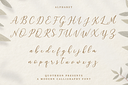 Juwellina Modern Calligraphy, a Script Font by Quothron (Thumbnail 9 of 10)