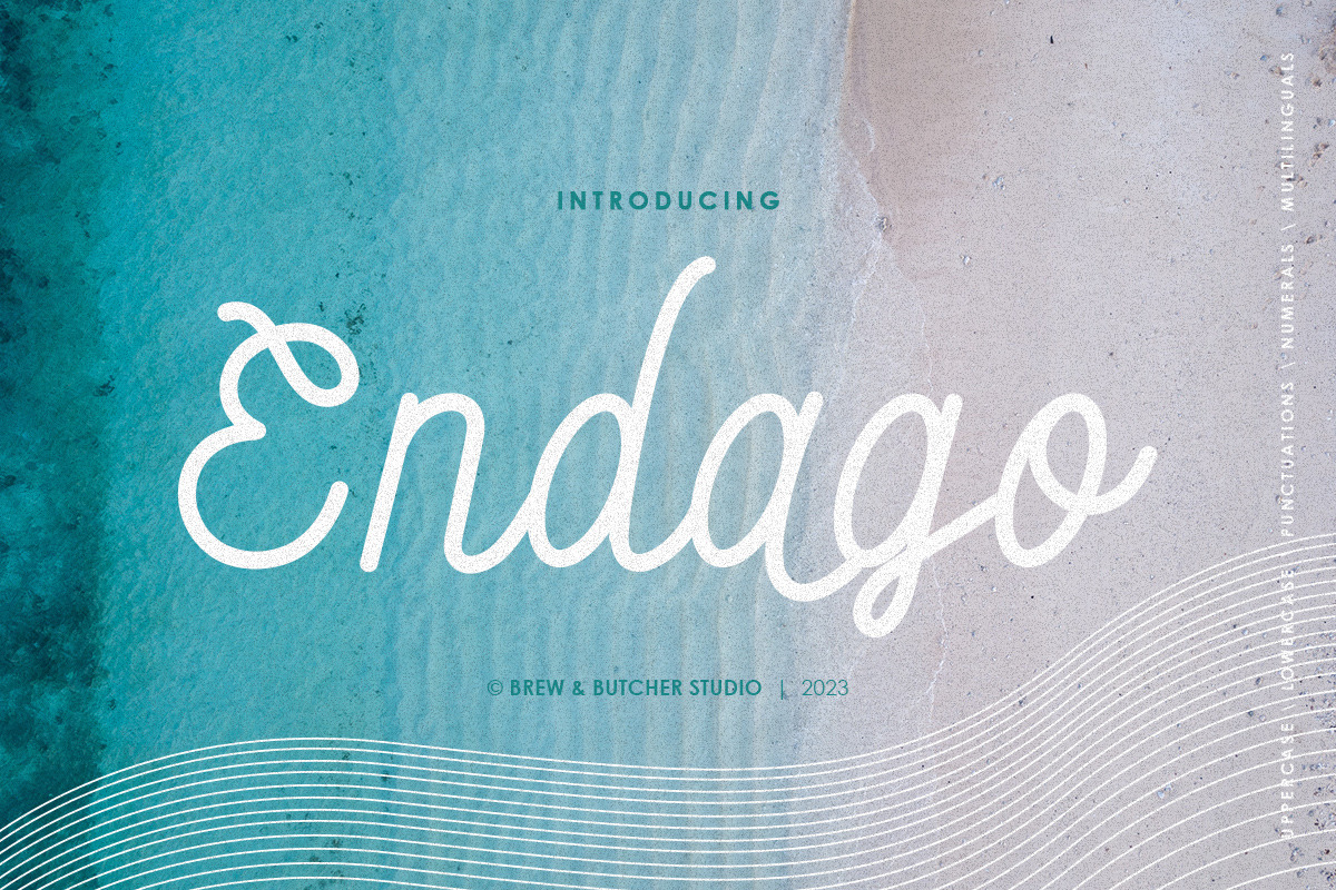 Endago | Monoline Typeface, a Handwritten Font by Brew & Butcher Studio (Photo 1 of 8)