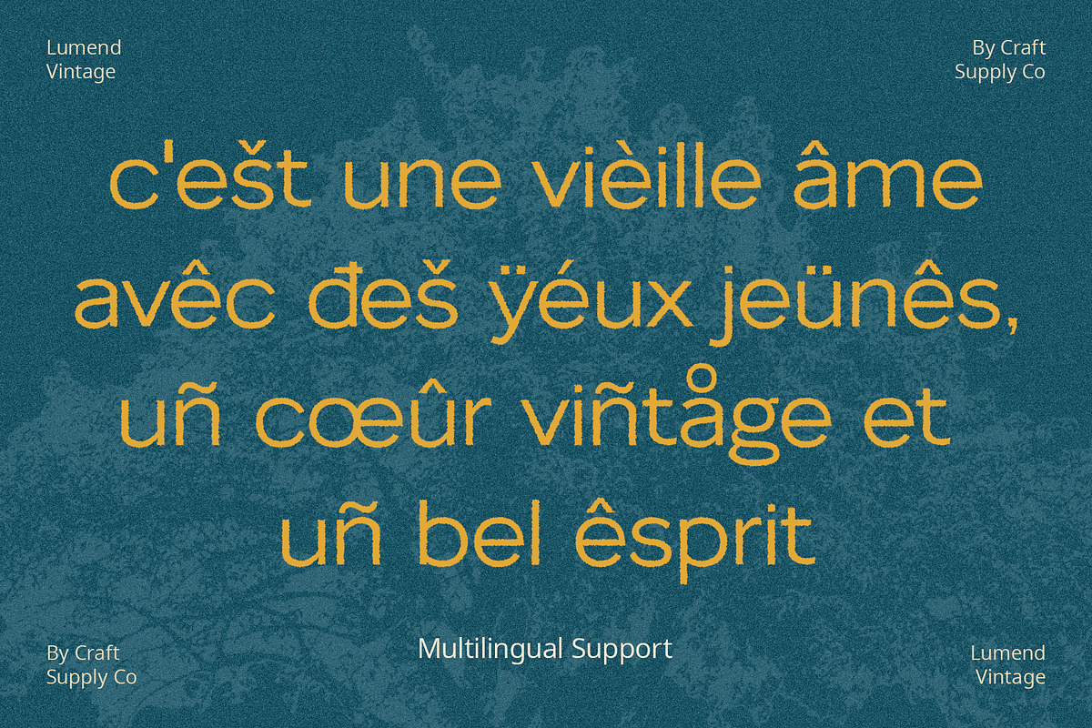 Lumend Vintage – Sans Serif Stamp, a Sans Serif Font by Craft Supply Co. (Photo 5 of 8)