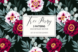 Tree Peony Patterns