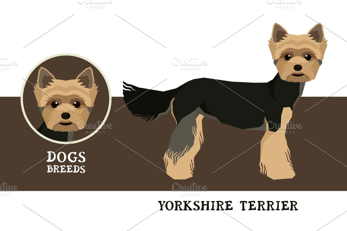 Dog breeds Yorkshire terrier, an Animal Illustration by Nenilkime (Photo 1 of 3)