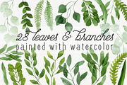 28 Watercolor Branches and Leaves, an Illustration by Helga Wigandt (Thumbnail 1 of 3)