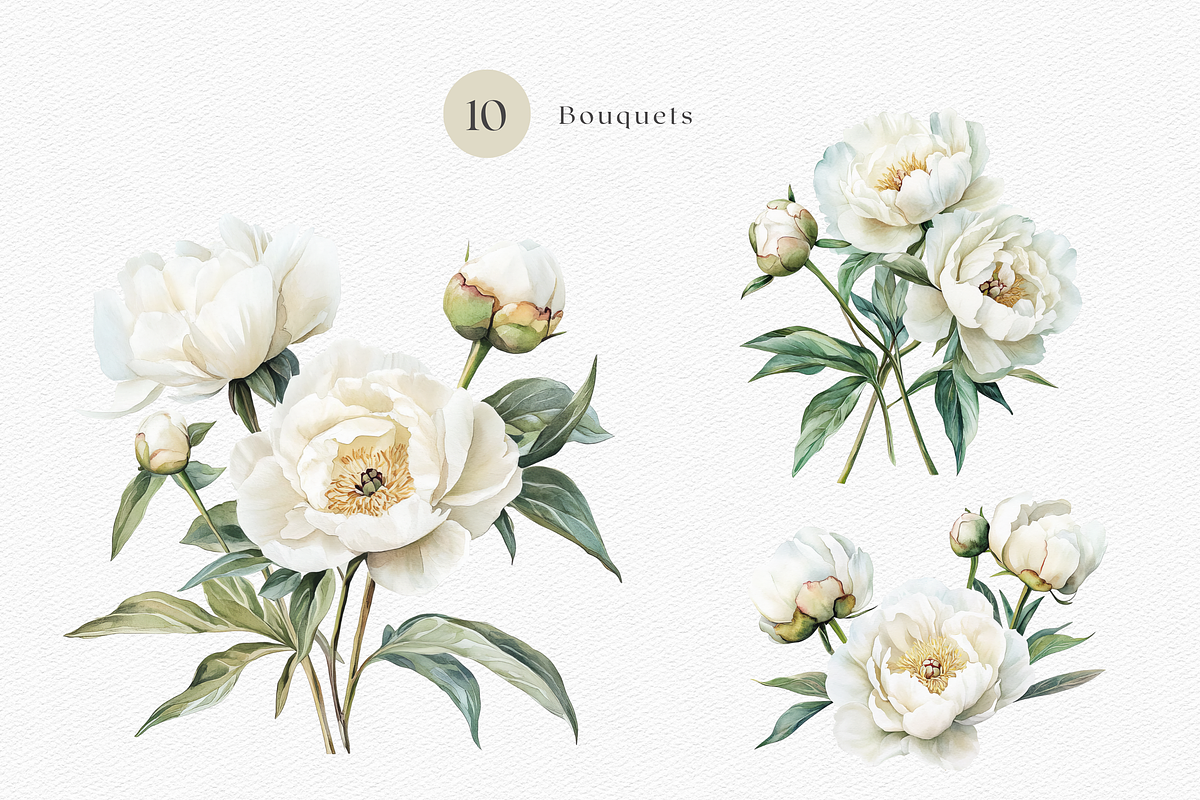 White Peony Watercolor, a Decorative Illustration by ThaismotaCreativeCo (Photo 4 of 10)