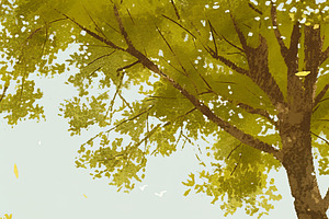Family Enjoying Picnic Together in a Sunlit Park, an Illustration by AS photostudio