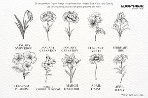 Birth Flower Procreate Brush Stamps