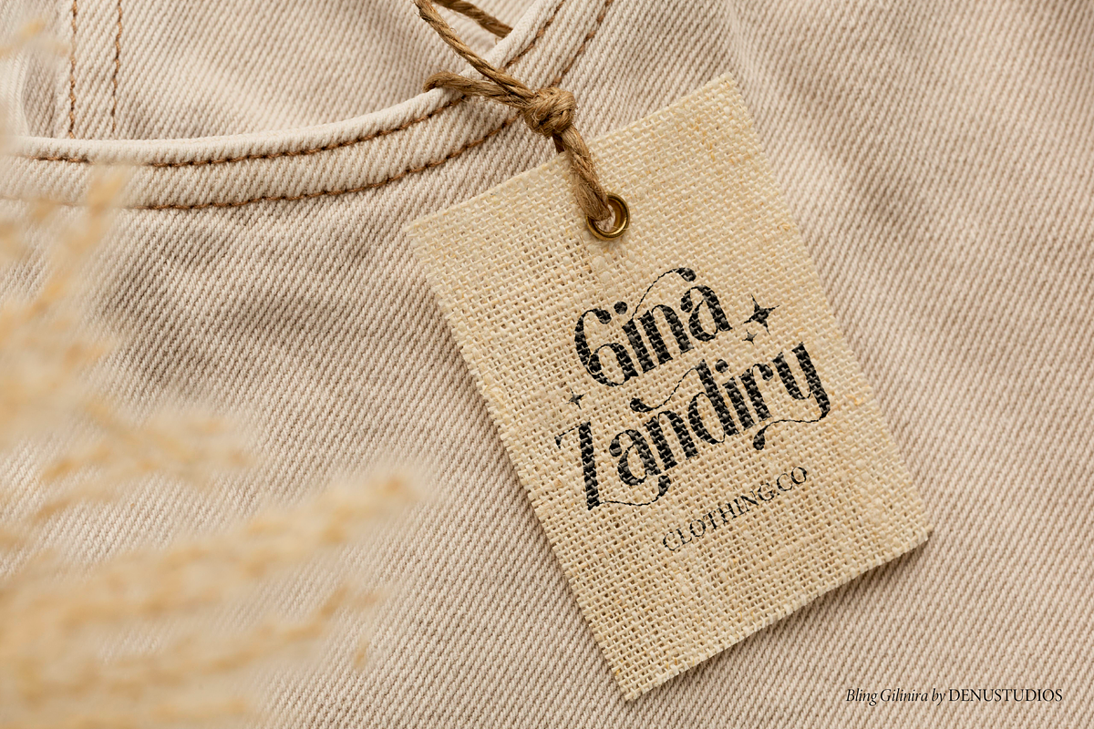 Bling Gilinira | Display Serif Font, a Serif Font by Denustudios (Photo 12 of 15)