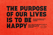 Wokerz Vintage Serif Font Typeface, a Serif Font by Perfectype (Thumbnail 2 of 10)