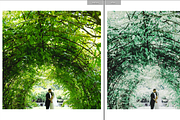 SIGNATURE BRIGHT & AIRY LR PRESET, a Preset Add-On by Fltrr Lightroom Presets (Thumbnail 18 of 20)