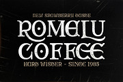 Rocky Aston, a Serif Font by Fontastic (Thumbnail 6 of 9)