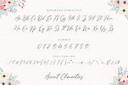 Gardenisa - Modern Calligraphy Font, a Script Font by Balpirick Studio (Thumbnail 6 of 7)