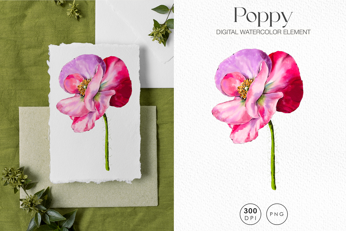 Pink watercolor digital Poppy flower, a Decorative Illustration by Harmony Draws (Photo 2 of 6)