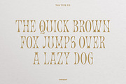 TAN - ORIENT, a Serif Font by TanType (Thumbnail 8 of 11)