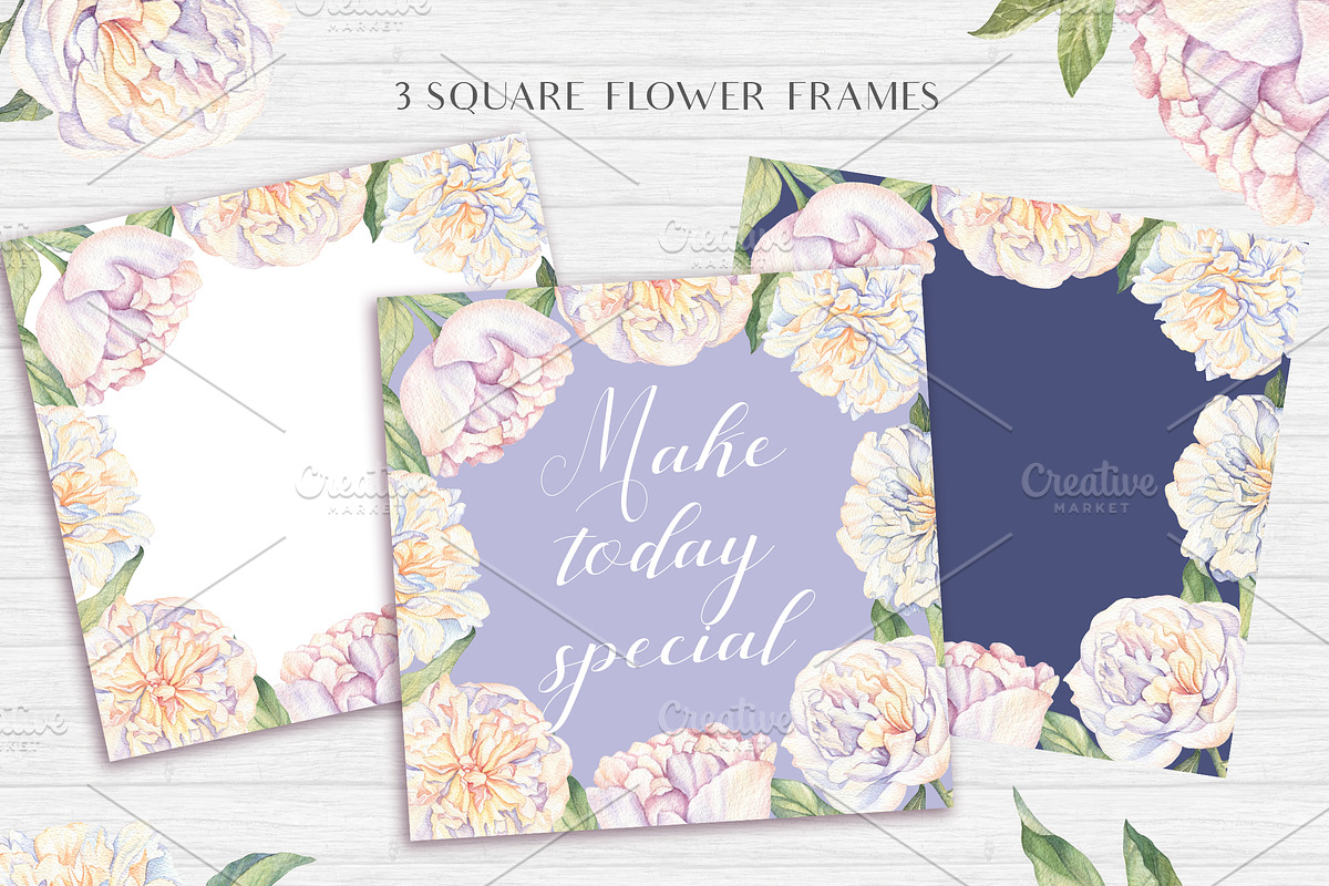White Peonies-Watercolor Set, a Decorative Illustration by Irina Diasli (Photo 5 of 10)