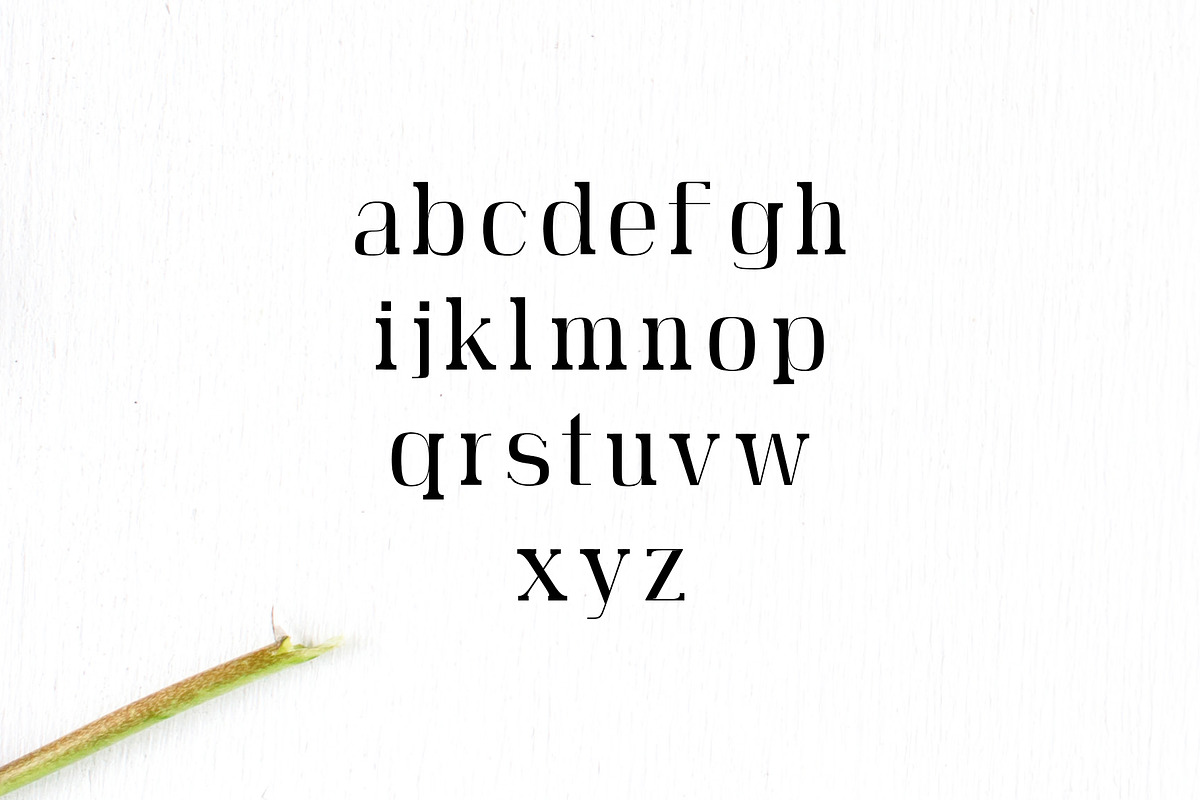 Adie High Class Serif 4 Font Family preview 3
