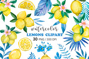 Watercolor Amalfi Lemon Clipart PNG, a Food Illustration by PatternPalette (Thumbnail 1 of 3)