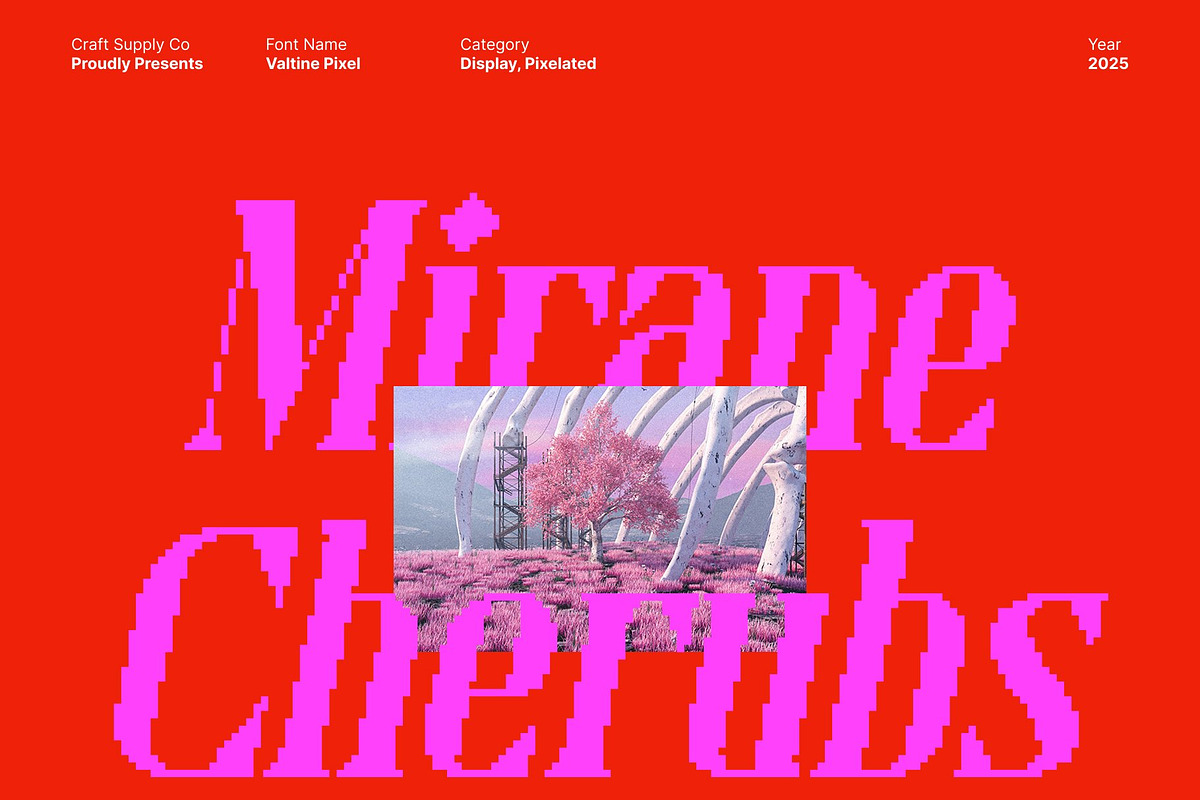 Valtine Pixel, a Serif Font by Craft Supply Co. (Photo 7 of 8)