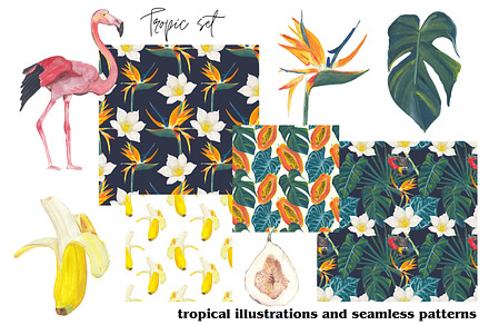Tropical set - hand painted