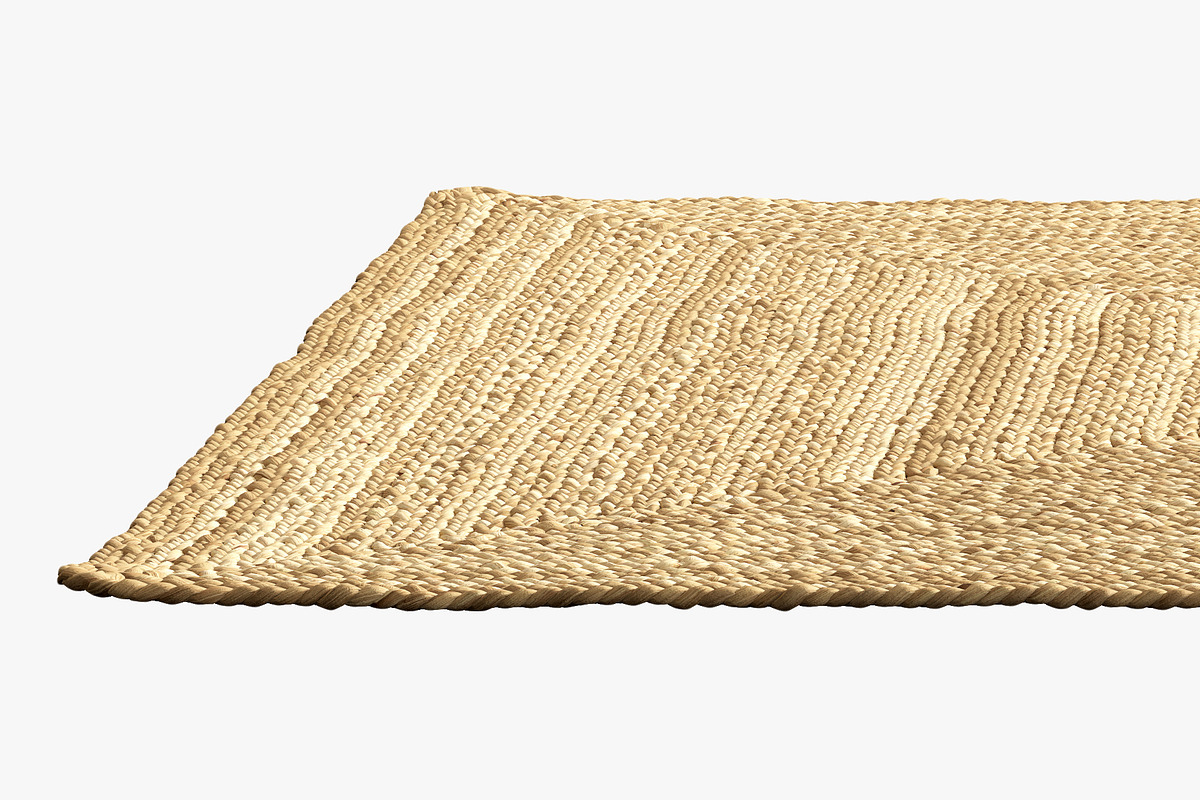 Dina Coastal Jute Rug Square, a Furniture 3D Model by 3dmitruk (Photo 3 of 15)