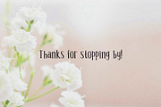 Favio - playful duo of vintage fonts, a Serif Font by Anastasia Cuza (Thumbnail 9 of 9)