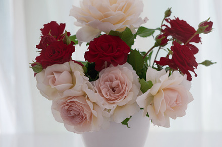 Bouquet of red and white roses, a Holiday Photo by J&M Diversity